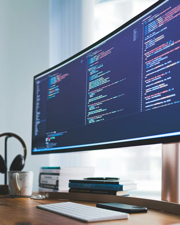 Website Development (1)
